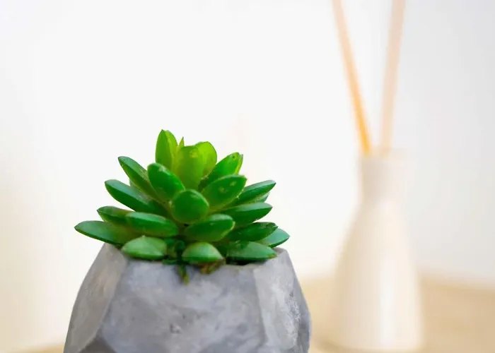 Studio Central Split Split